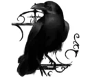 roamingraven.co.uk