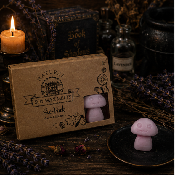 Handmade pink mushroom soy wax melts in a gift box by Roaming Raven