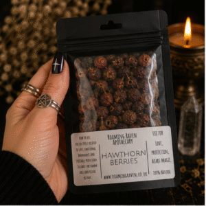 Dried Hawthorn Berries in a resealable apothecary pouch for herbal craft, ritual and botanical collections by Roaming Raven.