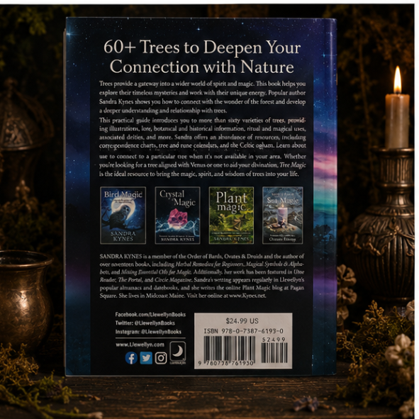 Tree Magic - Image 4