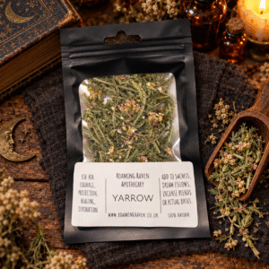Dried Yarrow